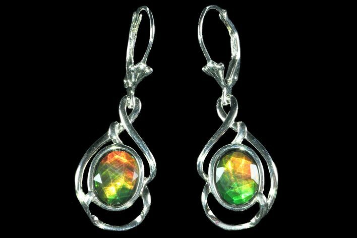 Gorgeous Ammolite Earrings with Sterling Silver #143581